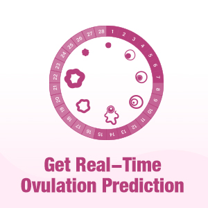 fertility strips test