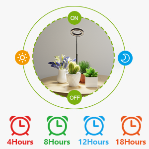 growth light timer timing
