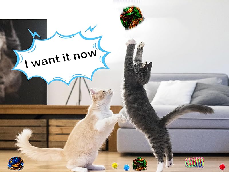 Interactive Cat Toys for Indoor Cats