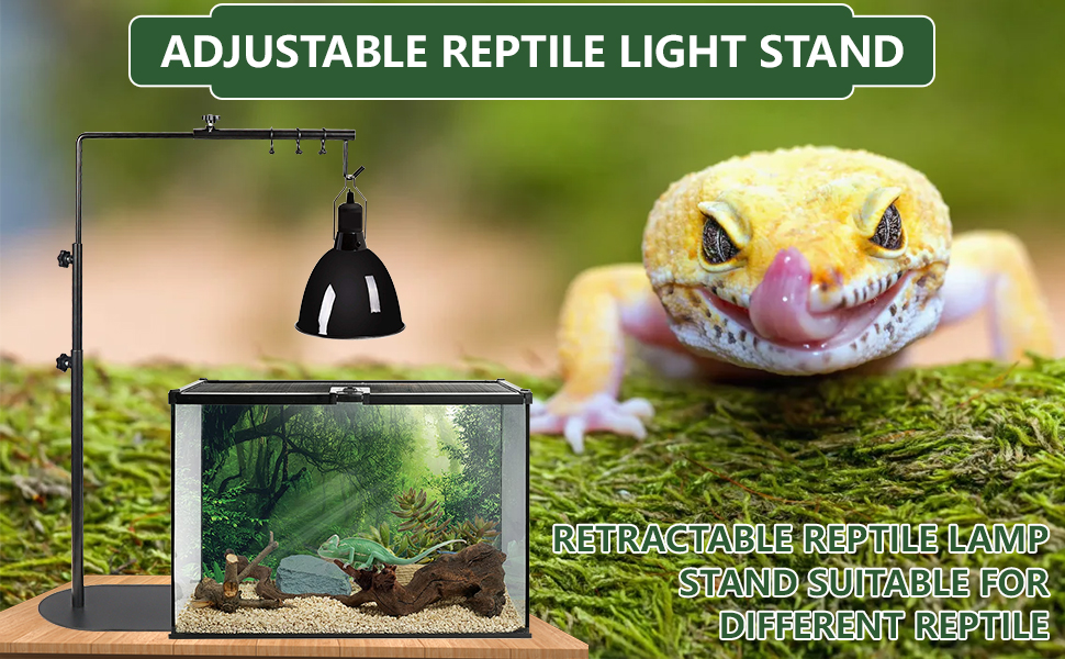 Insfashble Reptile Lamp Stand, Adjustable Heat Lamp Holder, Terrarium Light Stand
