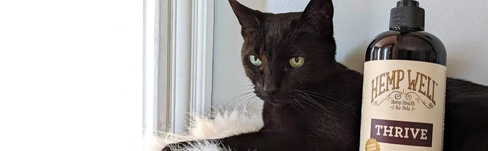 Cat skin and coat