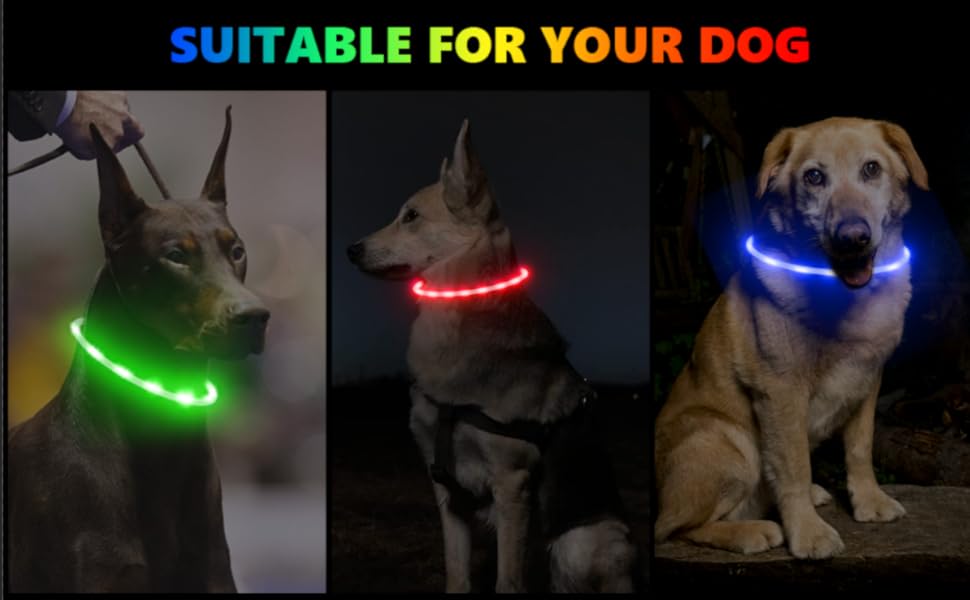 Light Up Dog Collars, Led Dog Collar for Pet Safety in