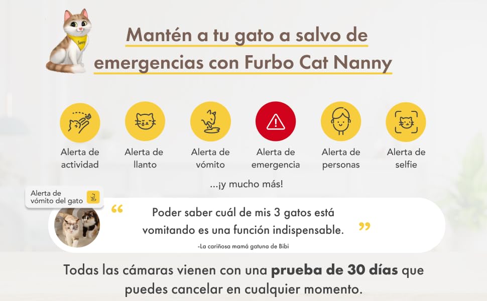Gato FaaS_FCN