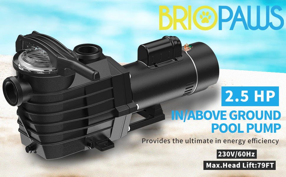 BRIOPAWS 2.5HP Dual Speed Pool Pump, 6240GPH Flow, 79FT