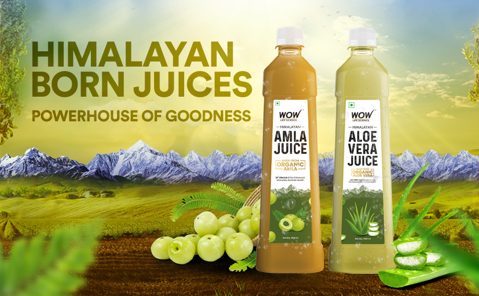WOW Life Science Himalayan Amla Juice 1L 2X vitamin C Made with 100 Organic Amlas Cold