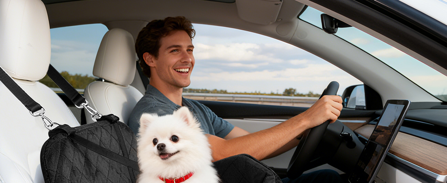 dog car seat small dog car seat dog car seat medium sized dog pet car seat car seat for 2 dogs