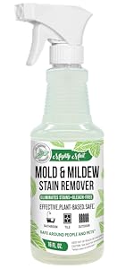 Mold, Mildew, Stain Remover, Bathroom, Tile, Outdoor, mold remover