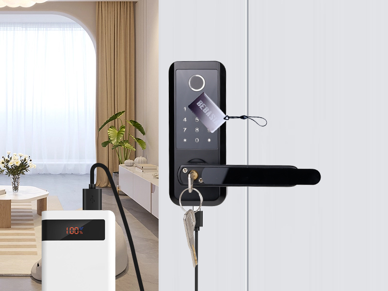 Fingerprint door lock