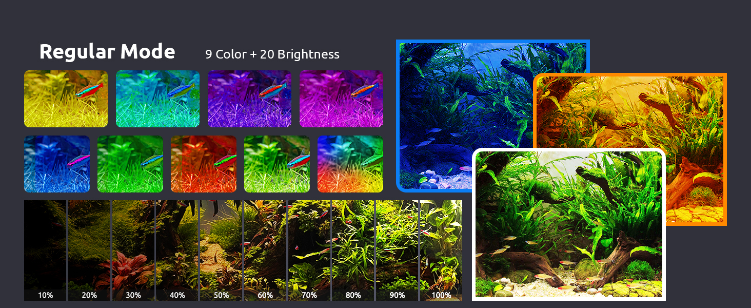 8 Preset Light Options