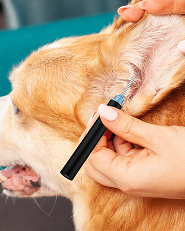 Ear Wax Removal Kit Camera