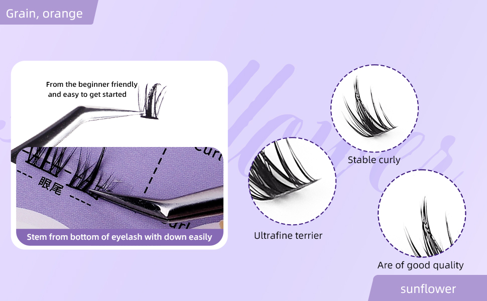 eyelash extension clusters