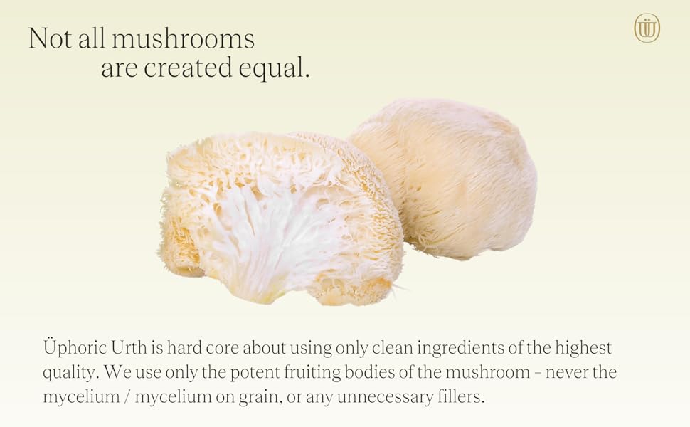 medicinal mushroom, mushroom extract, mushroom tincture, holistic tincture, lions mane