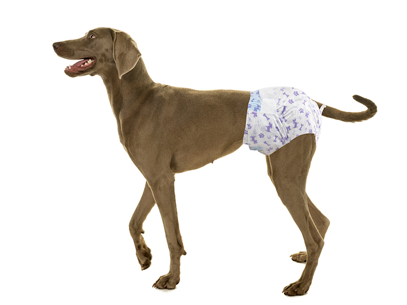 Pet Soft Dog Nappies Female 20 Count Disposable Dog Period Season