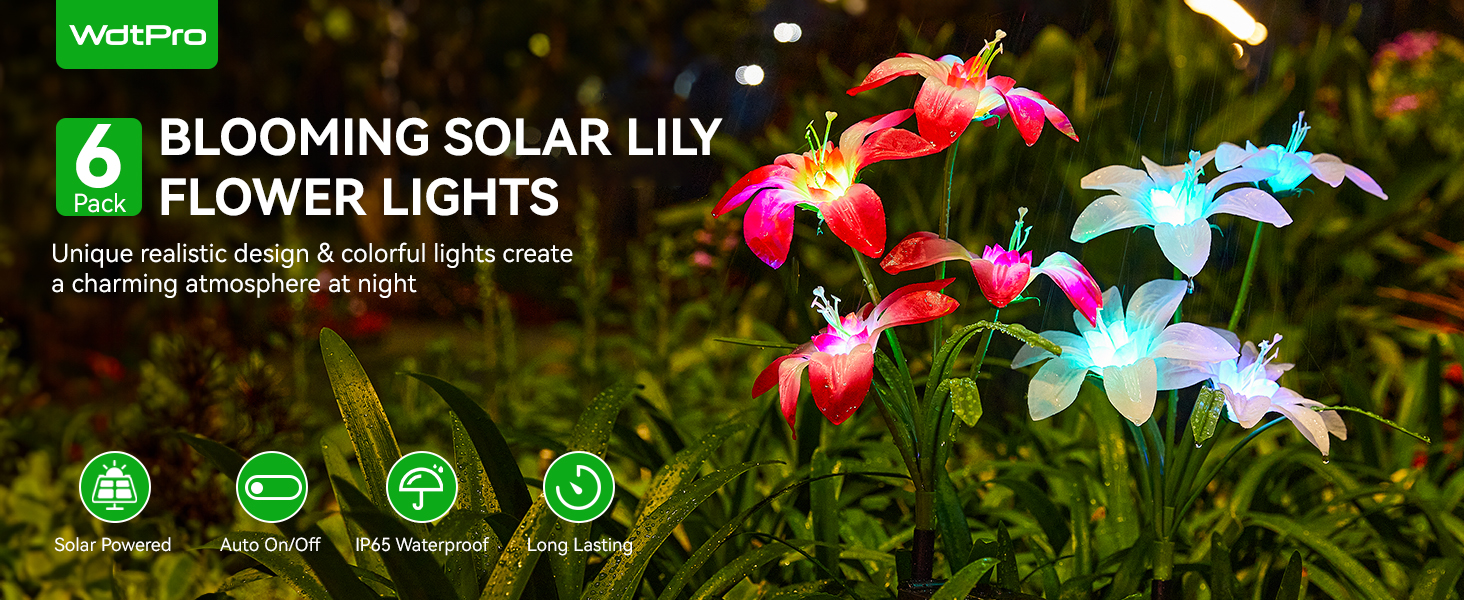 solar garden lights