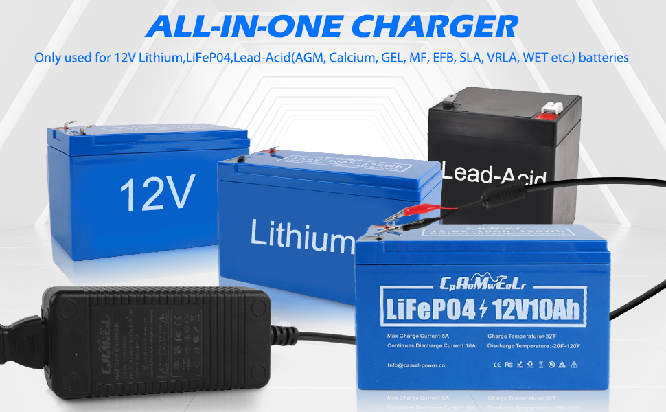 lithium and lead battery