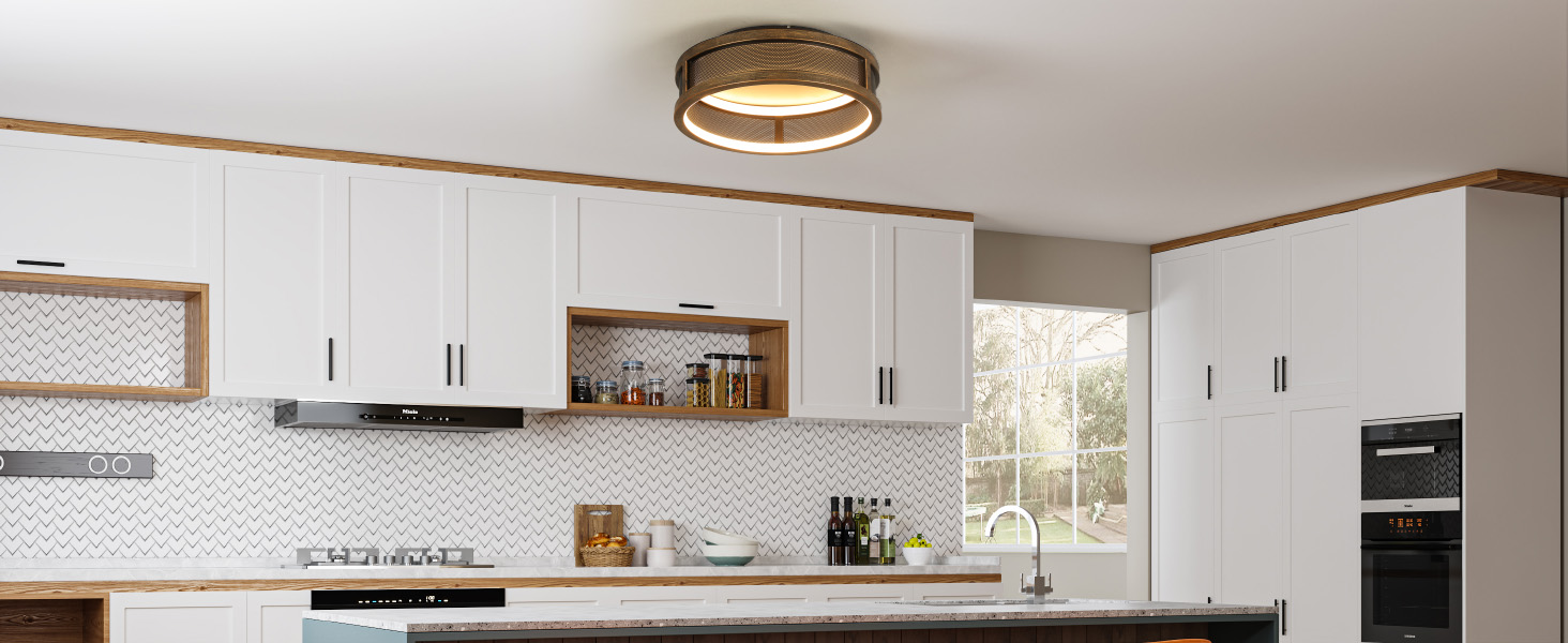 CASENKE Ceiling Light Flush Mount Lighting Light Fixture Ceiling Mount