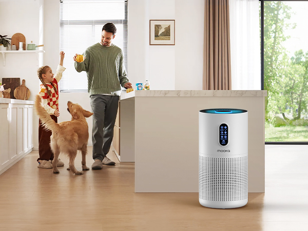 air purifiers for kitchen
