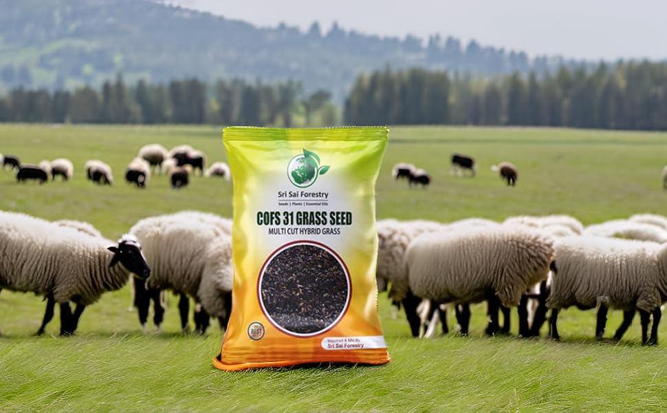 Large manufacture image 5