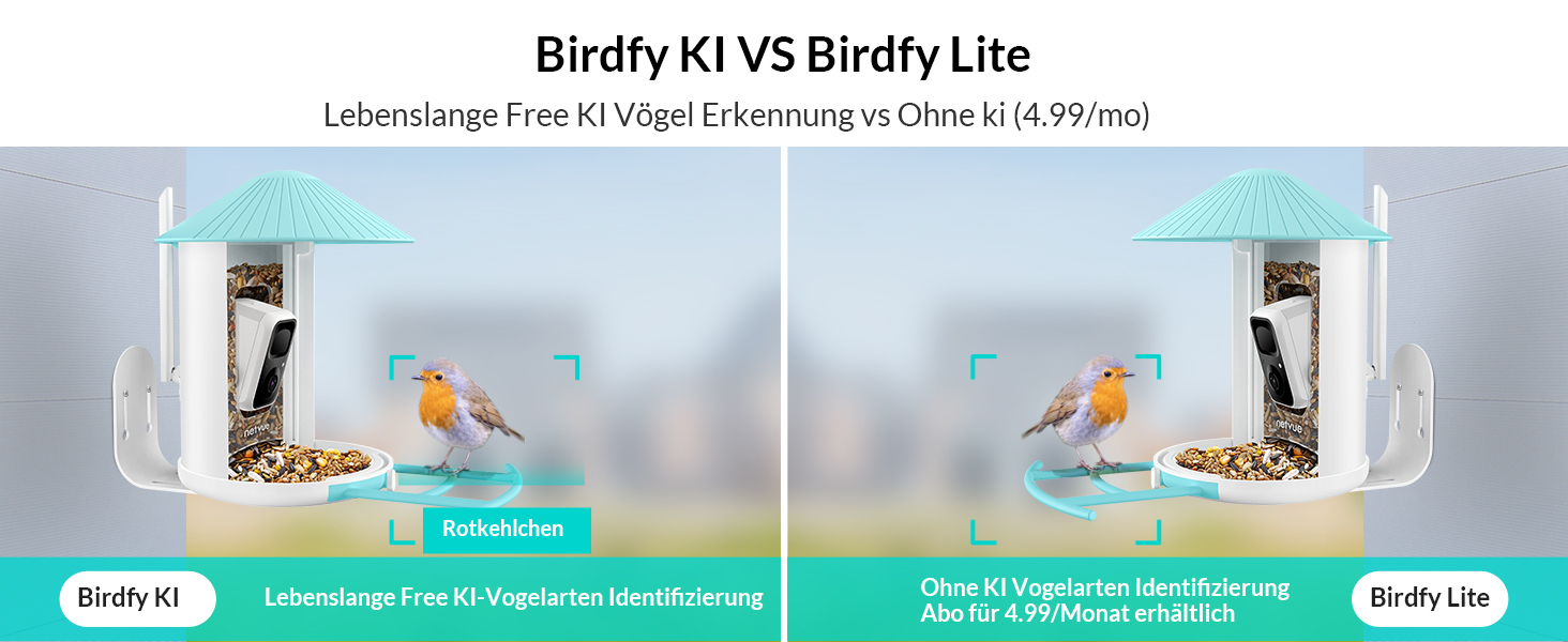 Birdfy mit kamera