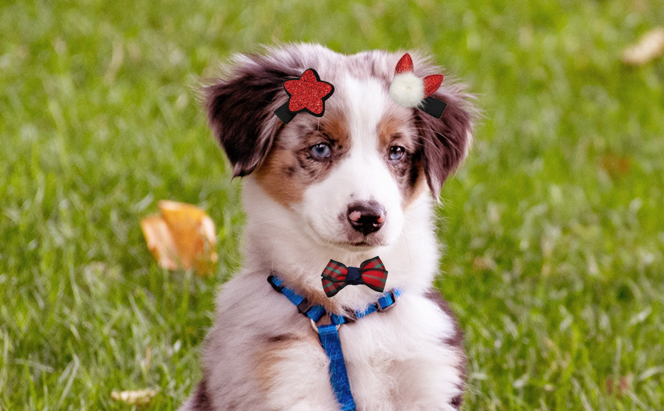 Diamant-Hundeknochen Prinzessinnen-Haarspange