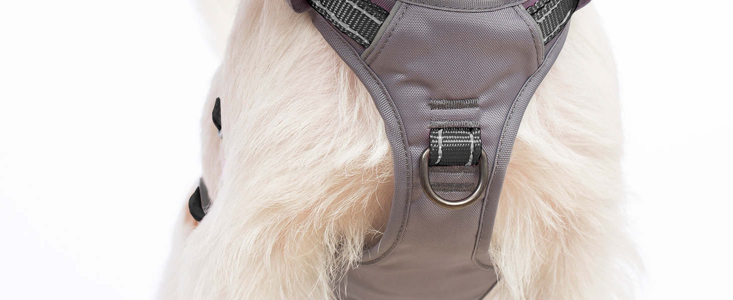 dog harness with handle 