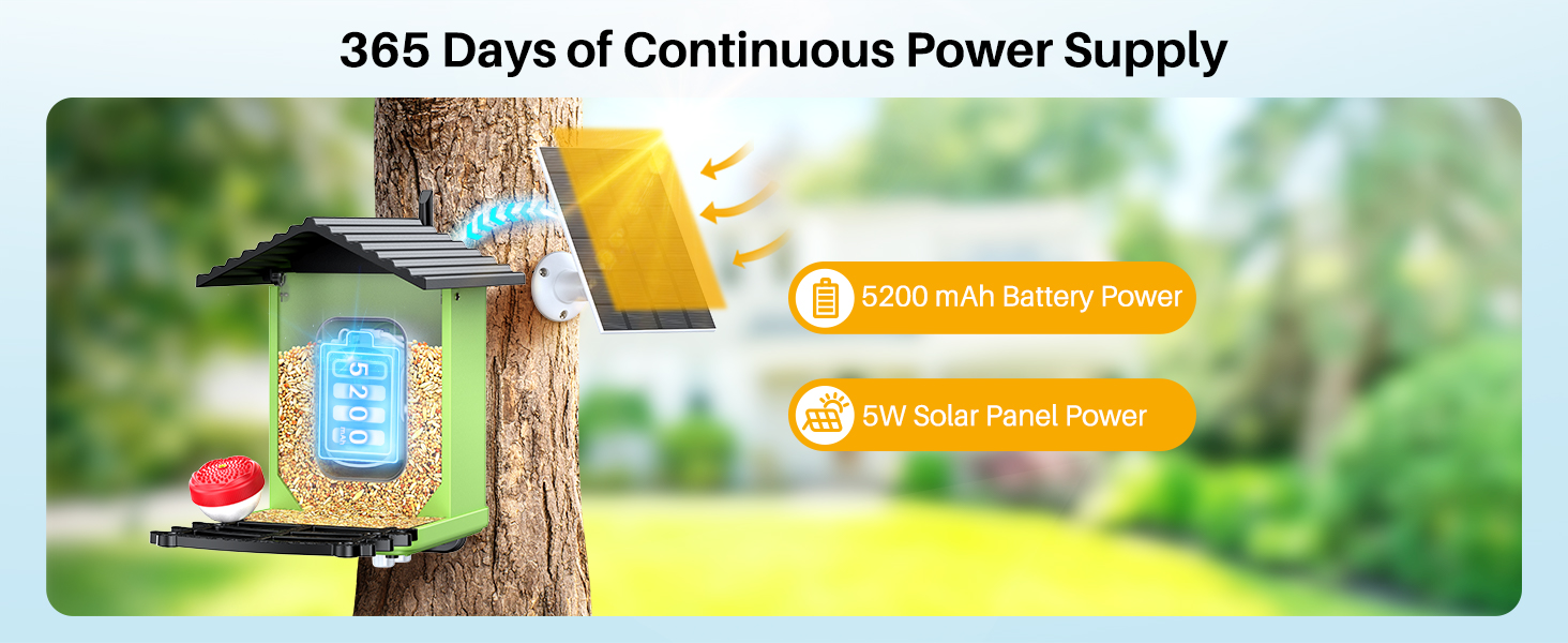 bird feeder with camera solar powered