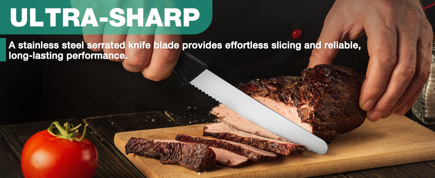 HAUSHOF Steak Knives Set of 4