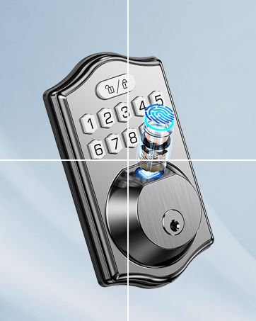 231