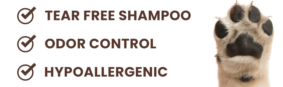 Sugar Cookie Shampoo