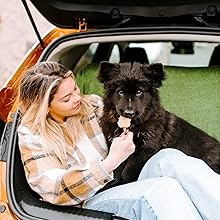 Ghiaccio per cani