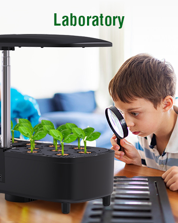 lab