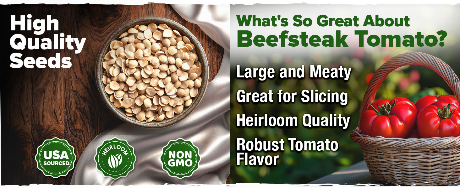 High Quality Seeds Usa Sourced Heirloom NonGMO High Yield Minimal Spines Heat and drought resistant