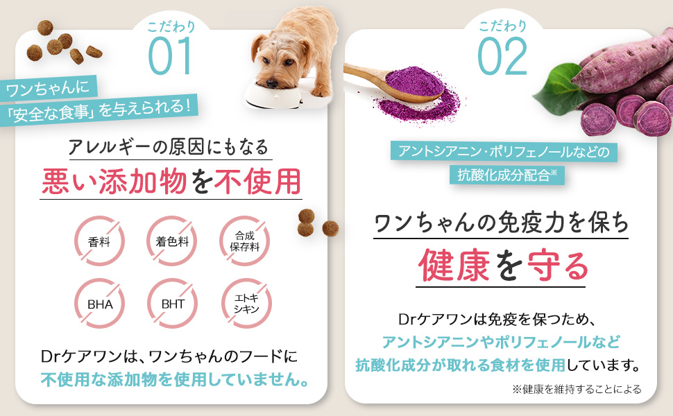 Amazon.co.jp: 【動物栄養学博士監修】Drケアワン 国産無添加