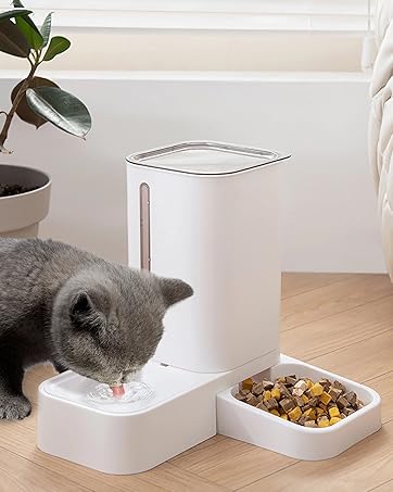 Cat Feeder and Water Dispenser