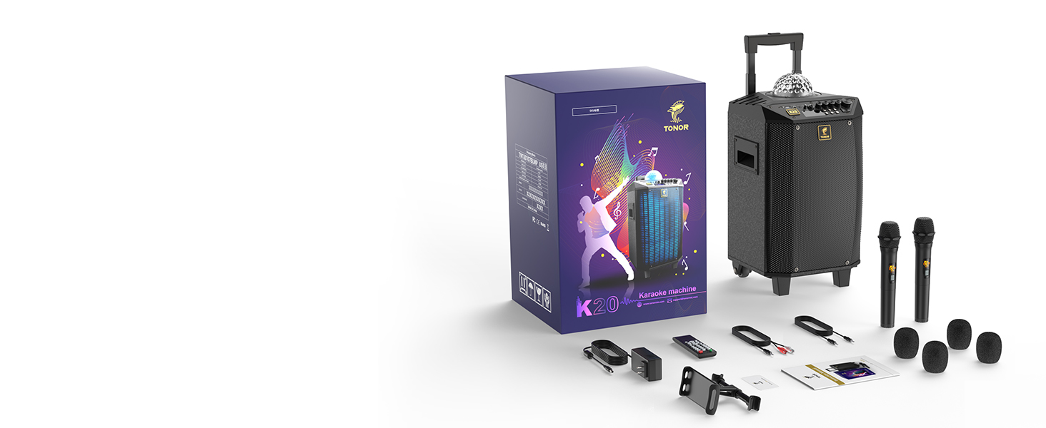 Impianto Karaoke Professionale Completo Wireless, PA TONOR Bluetooth