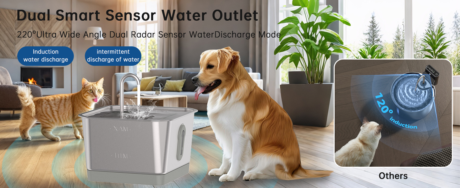 Dual Smart Sensor Water Outlet