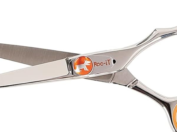 くりそっち 8cmCD CD ザ・くりそっち/オール・ザ・セイム～あなたに似た人 8センチ