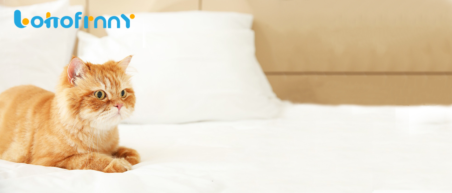 Lohofrnny Stainless Steel Cat Litter Tray, Large Litter Box, Stainless