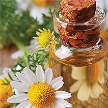 Roman Chamomile Oil 
