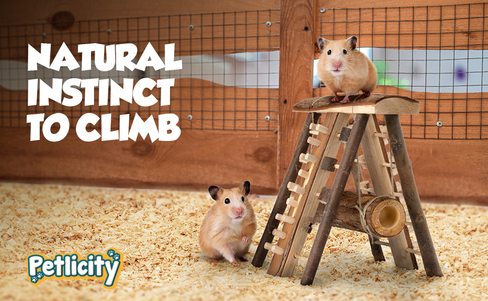 Petlicity Wooden Hamster Vertical Playground Natural Cedar Wood Climb