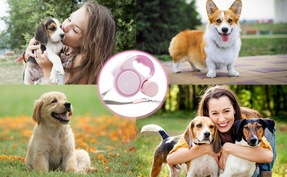 VANLYTPET Retractable Dog Leash with LED Flashlight,for