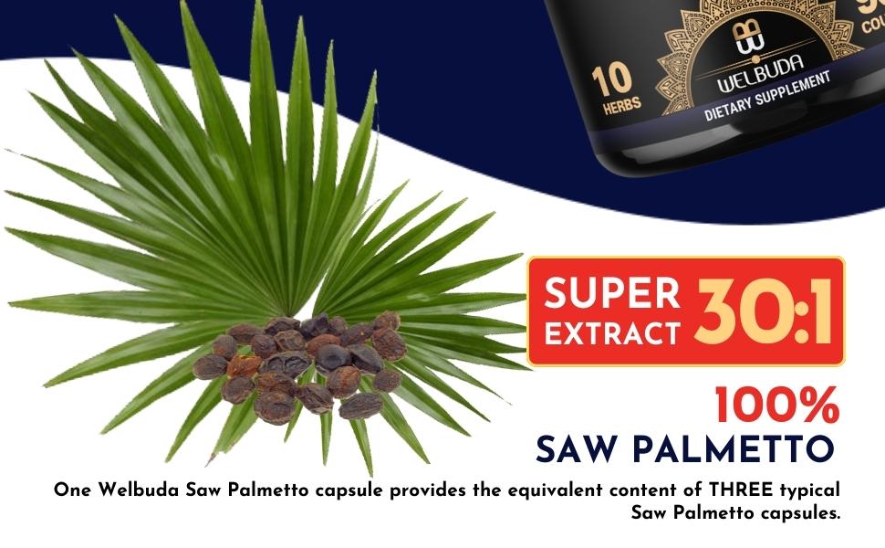 Saw Palmetto, Maca, Tribulus, Ashwagandha, Turmeric, Shilajit, Ginger, Green Tea, Holy Basil