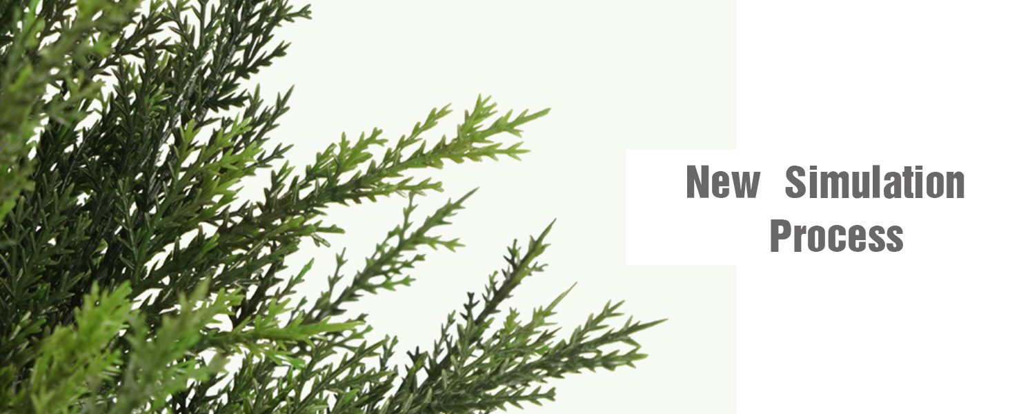 Indoor Realistic Faux Cypress Plants
