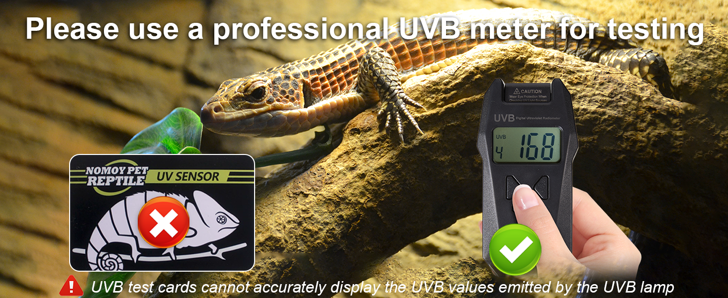 reptile light fixture