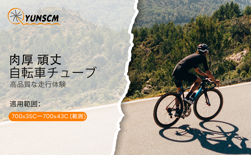 700x35/43C 自行车管