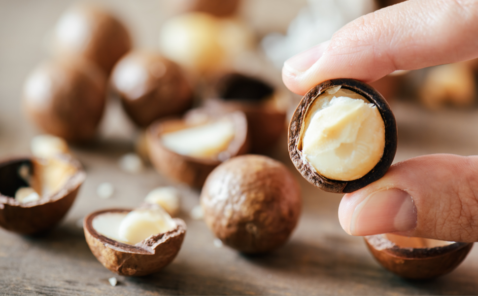 macadamia-nuts