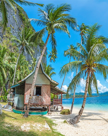 Hawaii-Hemd mit Hose