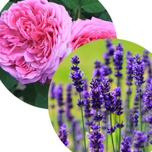 ナチュラムーン Naturamoon ハーバル ミリリットル 化粧水 1 オーガニック 保湿 無着色 無添加 国産 モイストローション 敏感肌 フローラル