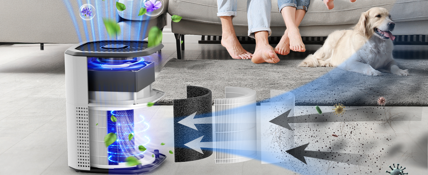 air purifier odor eliminator