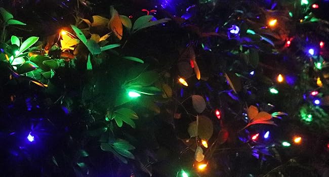 mesh lights outdoor